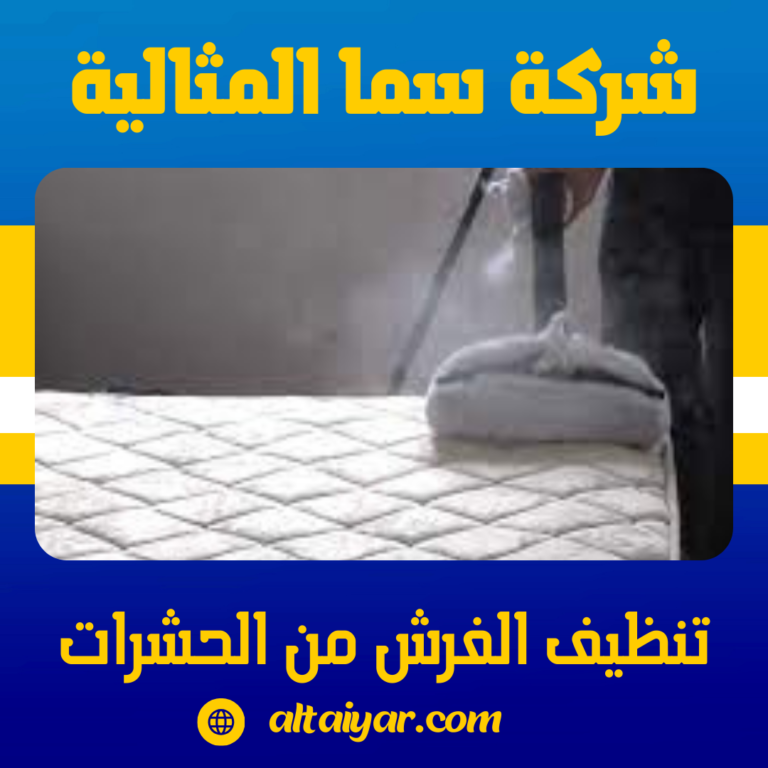 تنظيف الفرش من الحشرات