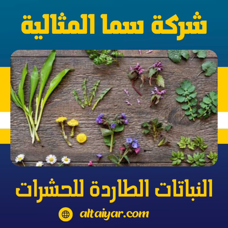 النباتات الطاردة للحشرات