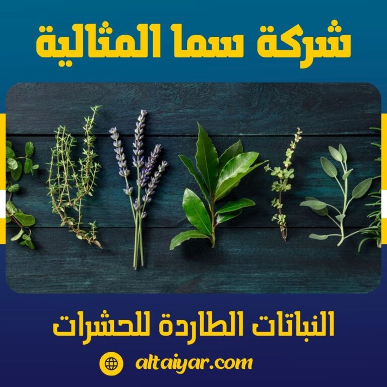 النباتات الطاردة للحشرات