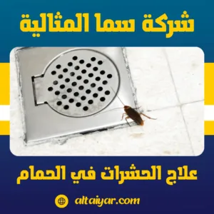 علاج الحشرات في الحمام علاج الحشرات في الحمام