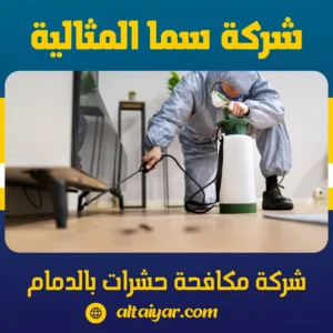 شركة مكافحة حشرات بالدمام