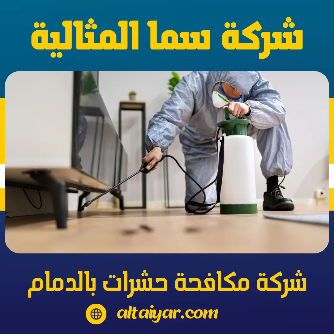 شركة مكافحة حشرات بالدمام