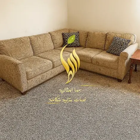 تنظيف المنازل والمجالس