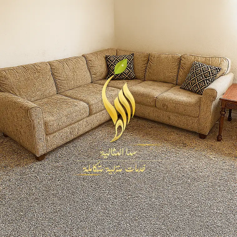 تنظيف المنازل والمجالس